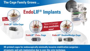 Endoscopic spine surgery, spinal stabilization, endolif, endoscopic device, full endoscopic, systems for stabilization